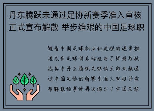 丹东腾跃未通过足协新赛季准入审核正式宣布解散 举步维艰的中国足球职业化困境再现